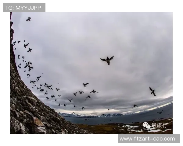 足球巨星们的孤独人生与终老思考:在荣耀背后隐藏的心灵孤独 足球巨星们的孤独人生与终老思考:在荣耀背后隐藏的心灵孤独