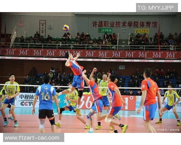 重庆排球队的团队协作探秘：如何在赛场上实现默契与胜利