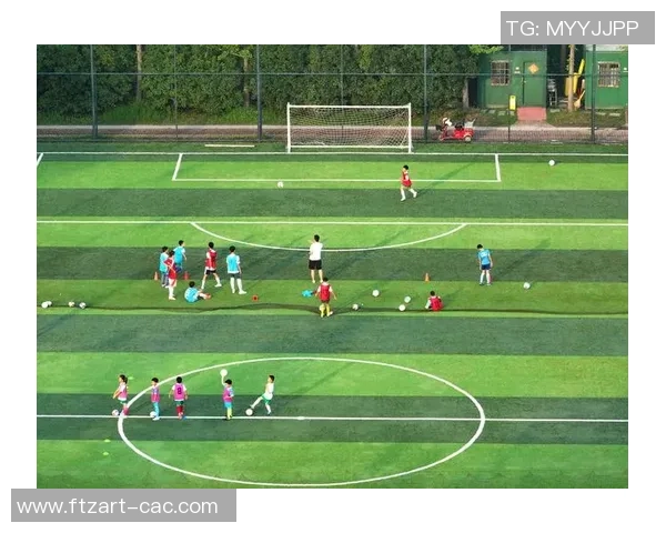 足球明星大熊猫的传奇旅程与绿茵场上的精彩瞬间