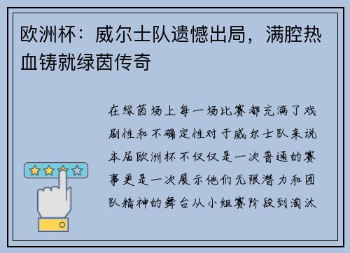 欧洲杯：威尔士队遗憾出局，满腔热血铸就绿茵传奇