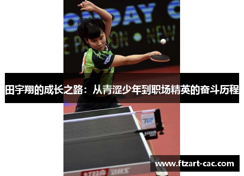 田宇翔的成长之路：从青涩少年到职场精英的奋斗历程